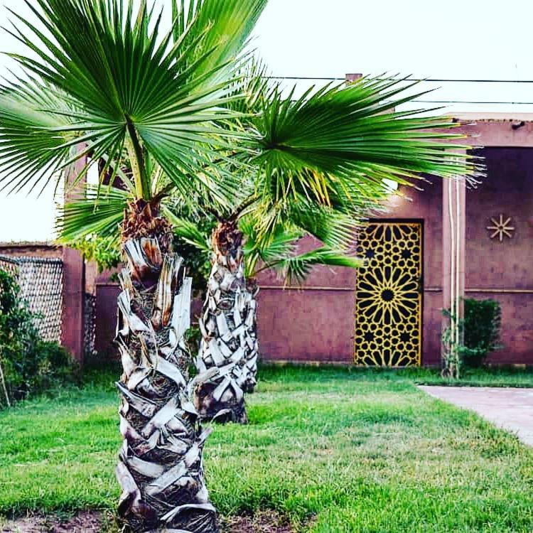 Riad Darga Rouge Ouled Bouzid 외부 사진